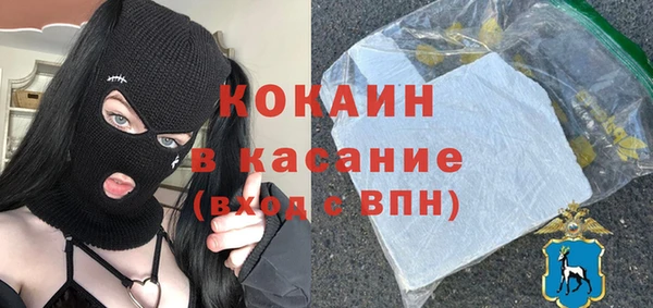 твердый Алексеевка