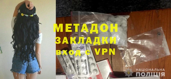 прущие грибы Михайлов